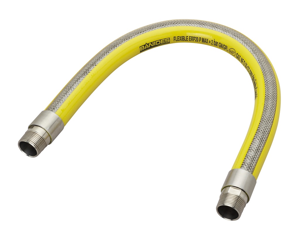 FLEXIBLE INOX ERP M/M 3/4" 2 BAR MAXI + RACCORD 3P 1.5M NF115 D 36-123